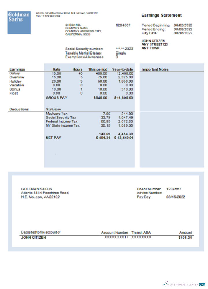 Download USA financial company earning statement template in Word and PDF format, version 2 Photoshop template